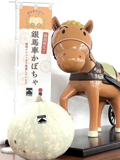 白い銀馬車かぼちゃ（銀の馬車道ネットワーク協議会事務局提供）