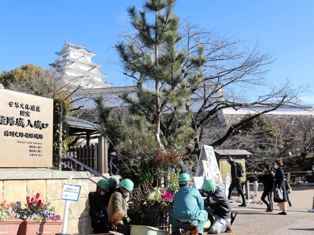 姫路城に登場した「ジャンボ門松」＝姫路市本町