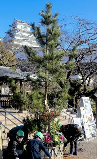 姫路城に登場した「ジャンボ門松」＝姫路市本町
