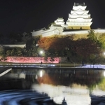 水面に映る大天守の姿をプロジェクションマッピングで描かれた波紋が包む＝姫路市本町（撮影・大山伸一郎）
