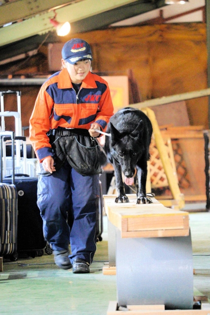 訓練に打ち込む大庭美晴さんと災害救助犬のペア＝宍粟市山崎町土万