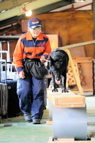 訓練に打ち込む大庭美晴さんと災害救助犬のペア＝宍粟市山崎町土万