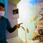 「ラビットフィッシュ」と呼ばれるアイゴを紹介する飼育員＝姫路市立水族館