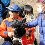 出初め式で家族連れらと触れ合う災害救助犬＝姫路市本町