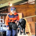 訓練に打ち込む大庭美晴さんと災害救助犬のペア＝宍粟市山崎町土万