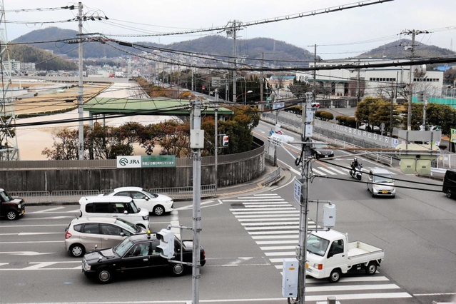 競走馬が保護された交差点＝姫路市広峰２