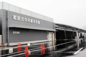 非売品　前掛け　姫山　椎茸　姫路市中央卸売市場 冷凍しいたけ「ねむり姫」1kg【川並商店】039-001 | のべちょる【公式