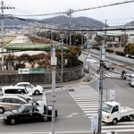 競走馬が保護された交差点＝姫路市広峰２