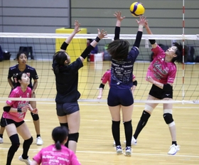 週末の試合に向けて調整するヴィクトリーナ姫路の選手たち＝ヴィクトリーナ・ウインク体育館