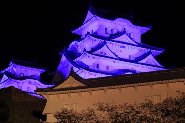 自閉症への理解を呼びかけるため青く照らされた姫路城＝姫路市本町