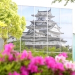 ＜真四角な世界遺産　登録30周年の姫路城＞（2）鏡の中、左右逆の城郭