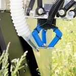 ロボットがカモミールの花をつまみ、摘み取っていく＝姫路市夢前町山之内