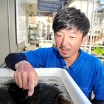 ふ化した多数のオタマジャクシを前に、産卵時の様子を振り返る竹田正義さん＝姫路市西延末
