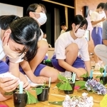 アジサイの枝をポットに挿し木する生徒たち＝安富中学校