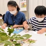じっくり観察し、サクラの葉を描く親子ら＝姫路文学館