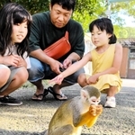動き回るリスザルを観察する親子＝姫路セントラルパーク