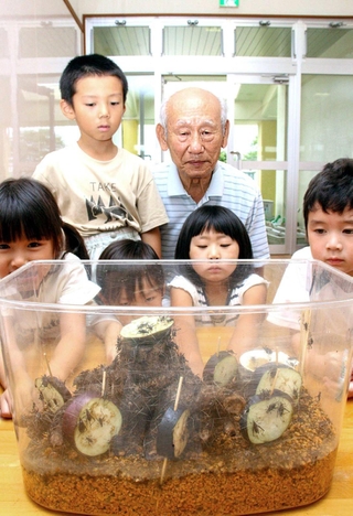 塩山顕治さん（後列右）と、スズムシの音色を楽しむ園児たち＝福崎町福崎新