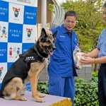 白野邦昌署長からからおもちゃをもらい喜ぶムック号と門脇正真警部補＝姫路署