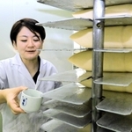 新酒の出来を確かめる川石光佐社長＝灘菊酒造