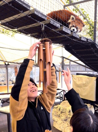 音の鳴る竹風鈴を取り付ける神戸芸術工科大の学生＝姫路セントラルパーク