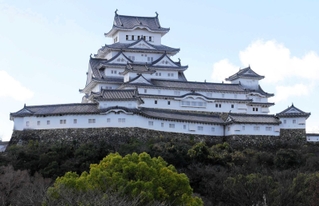 北側から望む姫路城＝姫路市本町
