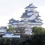西方向から見た姫路城＝姫路市山野井町、姫路文学館から望む