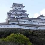 北側から望む姫路城＝姫路市本町
