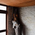 屋内から外に向かって松の木が生えている浴場＝姫路市飾磨区宮