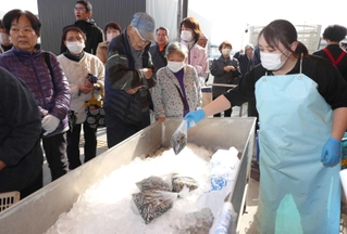 シンコを買い求める客でにぎわった「姫路まえどれ市場」＝姫路市白浜町