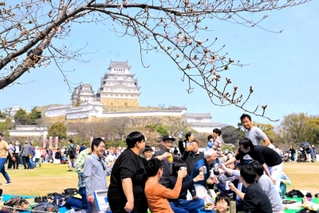 飲食を楽しむ客でにぎわった姫路城三の丸広場＝姫路市本町