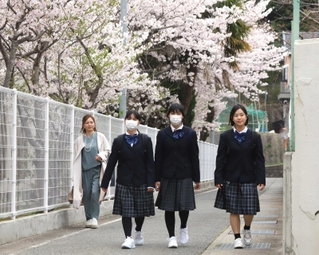 桜が咲く中、入学式に向かう家島高校の新入生ら＝姫路市家島町宮