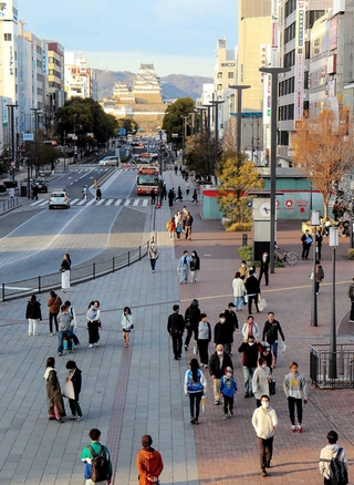 コンサル会社が「高い社会的価値がある」と分析した姫路城（中央奥）