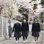桜が咲く中、入学式に向かう家島高校の新入生ら＝姫路市家島町宮