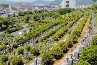 墓が並ぶ名古山霊苑。姫路市内では墓じまいなどで「改葬」の件数が増えている＝同市名古山町