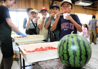 ６個のスイカを食べ比べる子どもたち＝姫路市山田町多田、姫路市農業振興センター