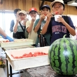６個のスイカを食べ比べる子どもたち＝姫路市山田町多田、姫路市農業振興センター
