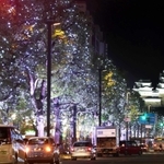 昨年開かれた「Ｈｉｍｅｊｉ　大手前通りイルミネーション」の様子＝２０２３年１１月２２日、姫路市駅前町から