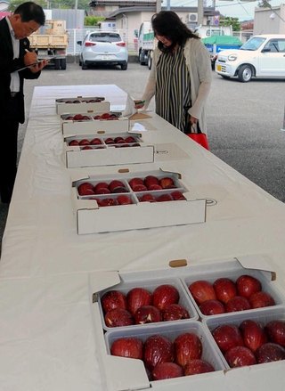 出品されたイチジクを審査する審査員ら＝ＪＡ兵庫西四郷支店