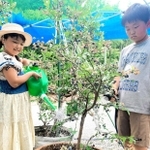 小学校入学時にもらったブルーベリーの苗木を大切に育てる雨盛咲月さん（左）と兄の謙心さん＝姫路市林田町上伊勢