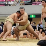 子ども力士と対決する「力士ふれあい会」の様子＝ヴィクトリーナ・ウインク体育館