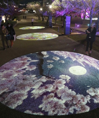 歩道に照らし出されたデジタルアート＝姫路市本町（撮影・辰巳直之）