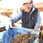 出荷を待つ養殖クルマエビ＝姫路市的形町的形