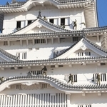 大天守の屋根に乗り、ほうきで丁寧に汚れを落とす自衛隊員＝姫路市本町