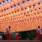 境内を照らす約２千個の提灯＝姫路護国神社