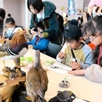 鳥や昆虫の標本を見ながらちぎり絵を楽しむ子どもたち＝県立歴史博物館