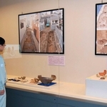 姫路市内で出土した土器や瓦が並ぶ発掘調査展＝同市埋蔵文化財センター