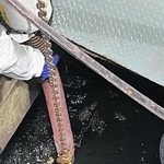 東部析水苑に流入した重油とみられる液体（姫路市提供）