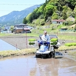 宍粟市北部で始まった田植え＝宍粟市千種町岩野辺