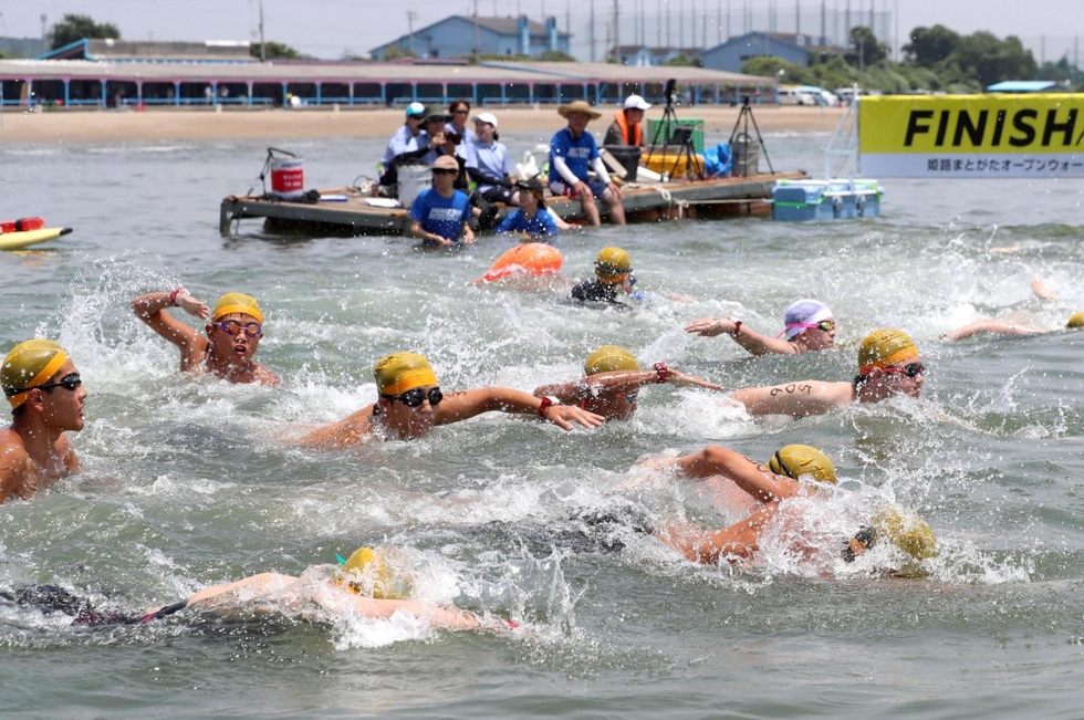 姫路・的形でオープンウオーター大会 県内外から小学生～70代の186人出場