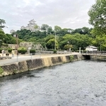 姫路城のすぐ西を流れる船場川。景観形成計画の対象だ＝姫路市小利木町